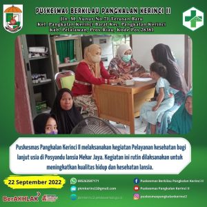 Read more about the article melaksanakan kegiatan pelayanan kesehatan bagi lanjut usia diposyandu
