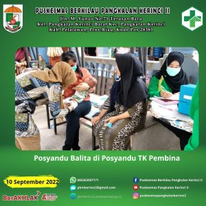 Read more about the article POSYANDU BALITA DIPOSYANDU TK PEMBINA