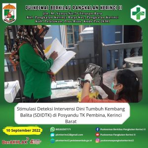 Read more about the article SDIDTK DIPOSYANDU TK PEMBINA