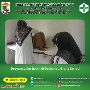 Read more about the article POSYANDU IBU HAMIL DIGRAHA SEHATI