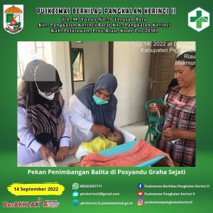 Read more about the article PEKAN PENIMBANGAN BALITA DI POSYANDU GRAHA SEJATI