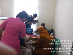 Read more about the article KEGIATAN PEMBERIAN IMUNISASI POSYANDU KEMALA DESA MAKMUR