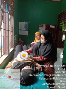 Read more about the article KEGIATAN PEMERIKSAAN IBU HAMIL DI POSYANDU ILP BUKIT HARAPAN DESA MAKMUR